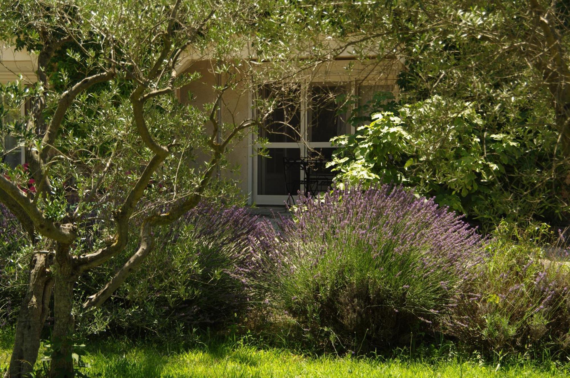 Residence Le Saint Victor Fontvieille Luaran gambar